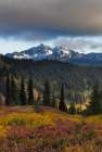 Autumn hues with the Tatoosh Range in Mount Rainier National Park, Washington State, USA Art Print